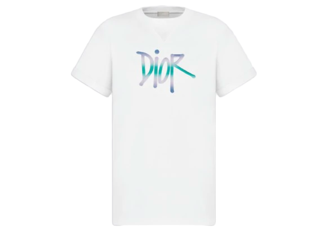 streetwear Dior And Shawn Oversized Logo T-Shirt White