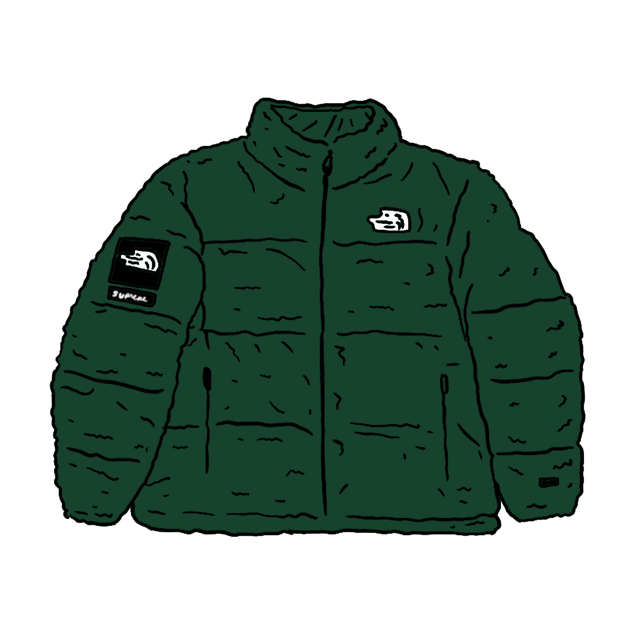 streetwear Supreme The North Face Faux Fur Nuptse Jacket Green