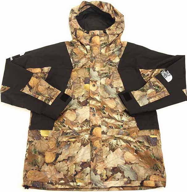 streetwear Supreme The North Face Mountain Light Jacket Leaves